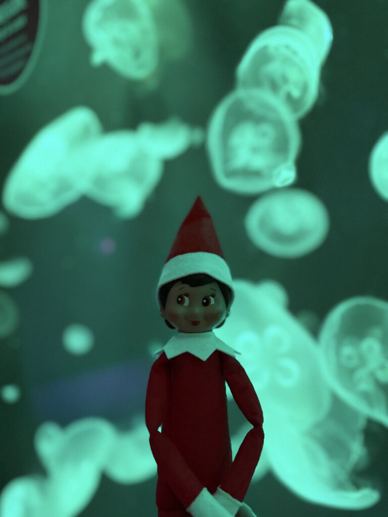 Elf on the Shelf Scout Elf in front of glowing jellyfish at SEA LIFE Orlando Aquarium