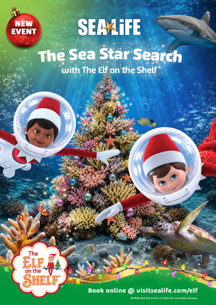 The Sea Star Search with The Elf on the Shelf event poster featuring Scout Elves and an undersea Christmas tree at SEA LIFE