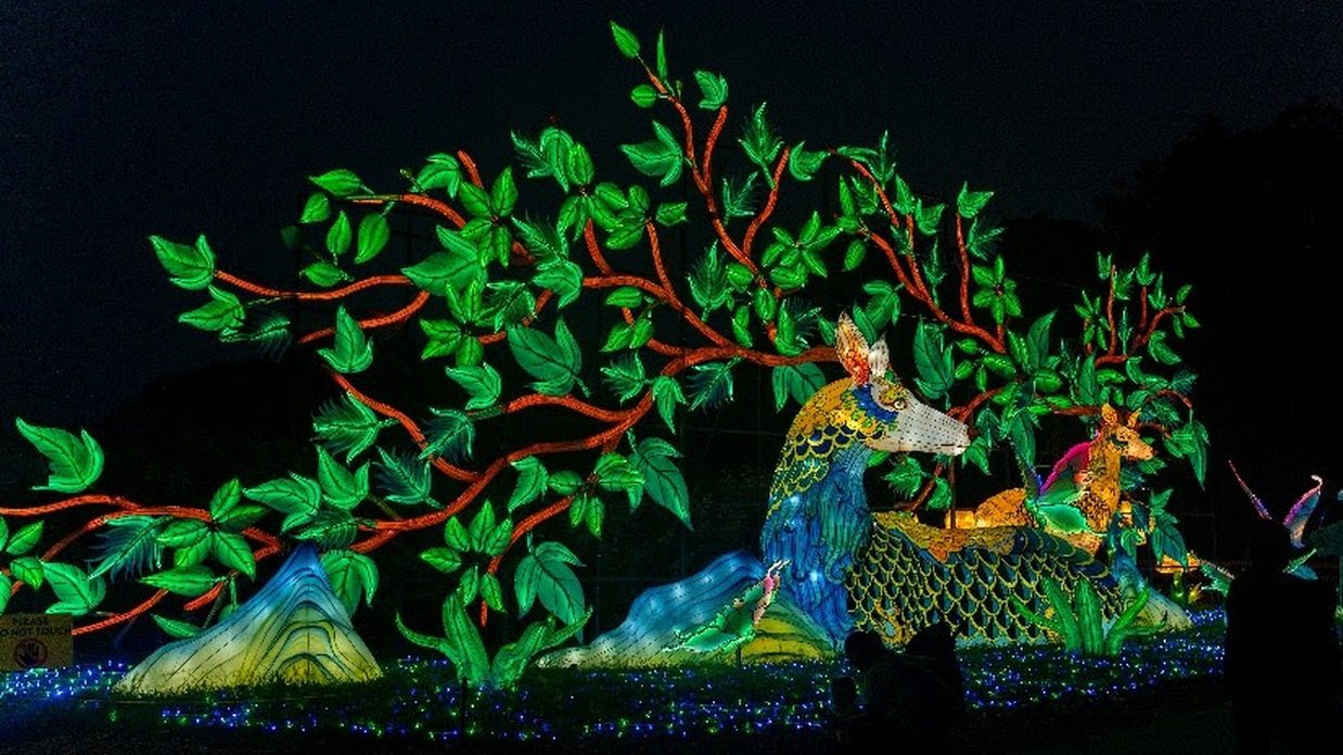 Glowing deer and leafy tree lanterns at Asian Lantern Festival: Into the Wild, Central Florida Zoo & Botanical Gardens in Sanford — Asian Lantern Festival 2026 tickets